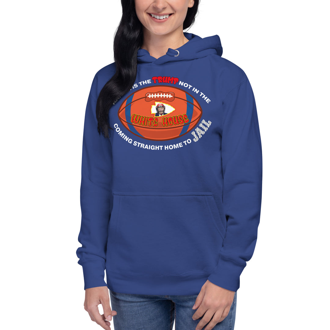 Democracy Fighter Swift 01 Hoodie | African, America, Caribbean, Gaza Peace, Israel, Latin America, Palestinian, World | Democracyfighterz